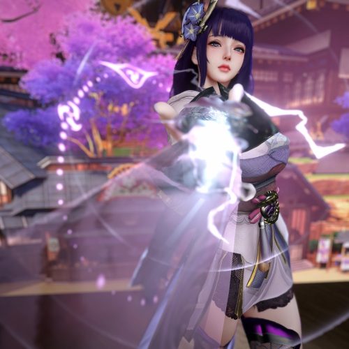 Dnaddr.Lei__RaidenShogun_v2_P