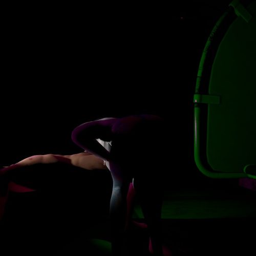 Zenmocap 25.5.7  255