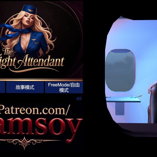 VAMSOY.The_Flight_Attendant_Vamsoy